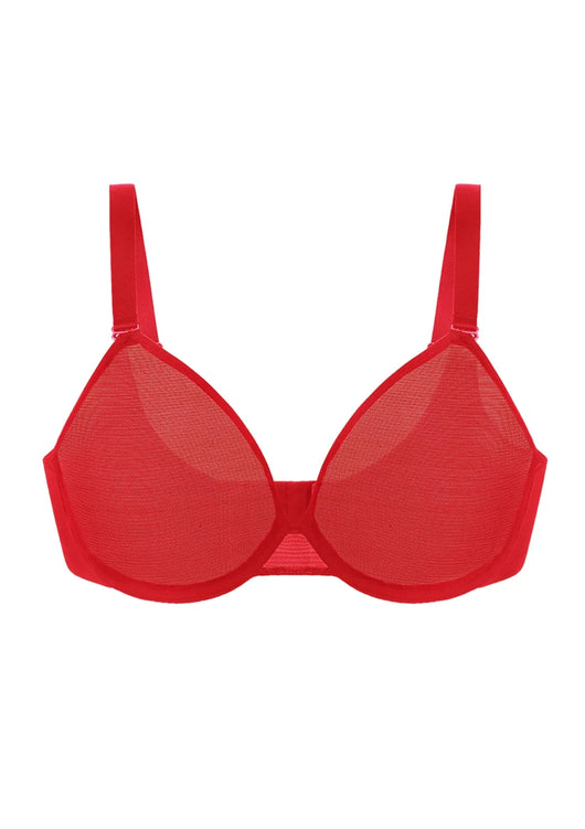 Unlined Underwire Sheer Mesh Bra